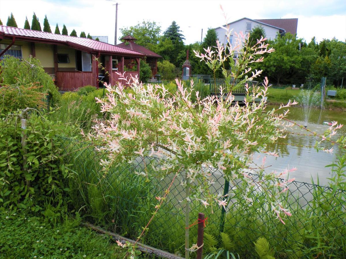 Domki Żabi Staw Mikołajki 外观 照片